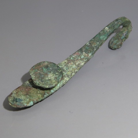  졡Ļʡ