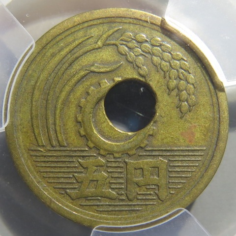 ڸԲߡ ܴ5߲Ƽ ꥺ쥨顼 25ǯ ACCA XF40ʡ