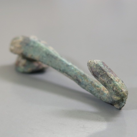 ���� �������졡���ڻ��ʾ��ʡ�