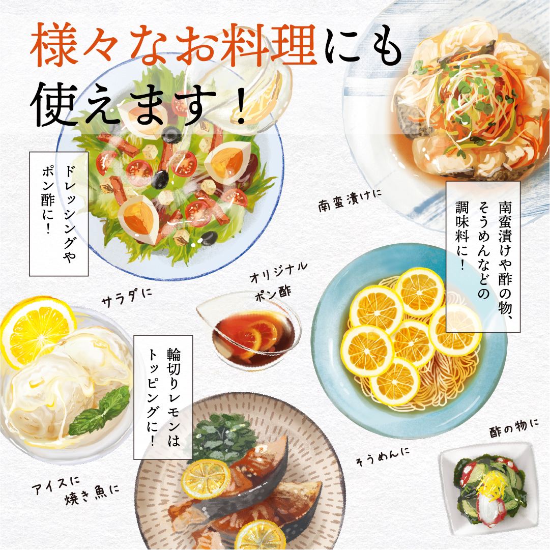 瀬戸内レモン＆りんご酢 820g【送料無料】