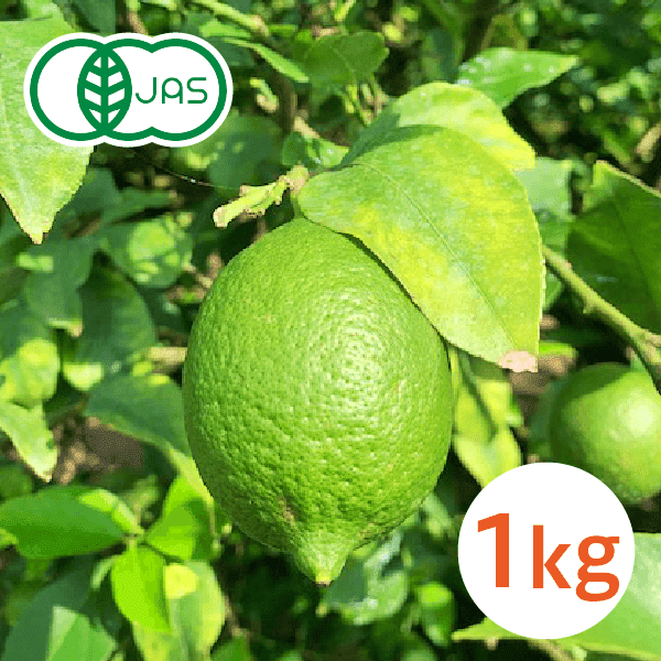 【1㎏】瀬戸田産 オーガニック グリーンレモン【販売期間：11月末まで】※送料無料