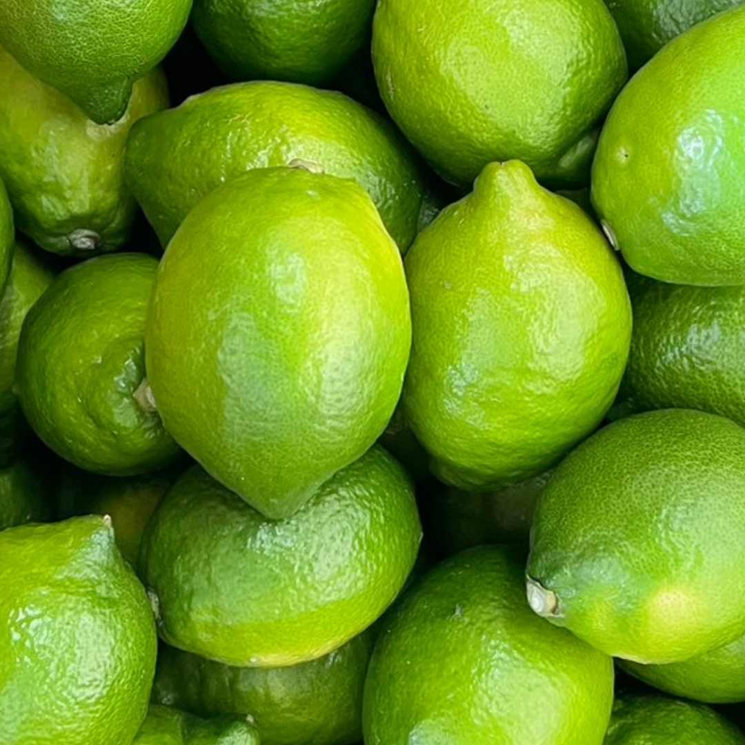 【3㎏】瀬戸田産 オーガニック グリーンレモン【販売期間:11月末まで】※送料無料