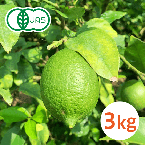 【3㎏】瀬戸田産 オーガニック グリーンレモン【販売期間:11月末まで】※送料無料