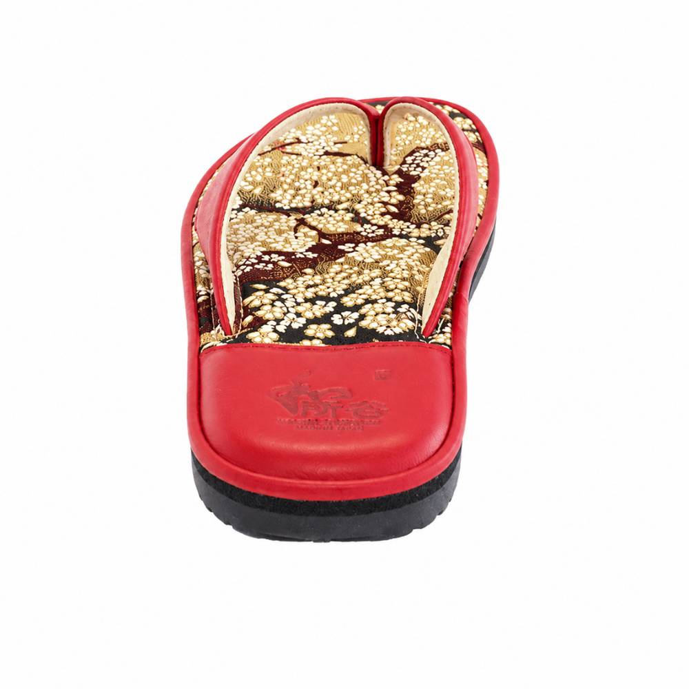 TKR M 101_RED
