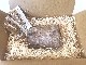  ڥȥӡա 500g  ե  渵   ϩ̾ ͵