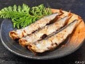 �ڱ������������ᥬ�����û��⤿�äפ���۹񻺿����路�ݴ����ʣ�����