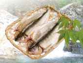 �ڥ��饷�Ǻܾ��ʡ������ֹ�6�ۡڴ��ָ���� ����Ƥ�̣�襤�� ���δ�ʪ�ʣ����