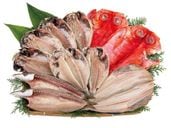 ڥ饷Ǻܾʡֹ1ۡߡեȥåȡ۸͹礻ʿ