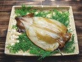 ����̣�δ����ʣ����