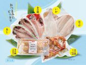 ��6/1�ʹ�ȯ�����ڥ���饤�󥷥�å׸����6/8�ޤǤΤ���ʸ��5%OFF!!�ۡڤ��������6/17�ޤǡۡ��������ߡ���������åȡ�6��7�ޡ����ʽ������