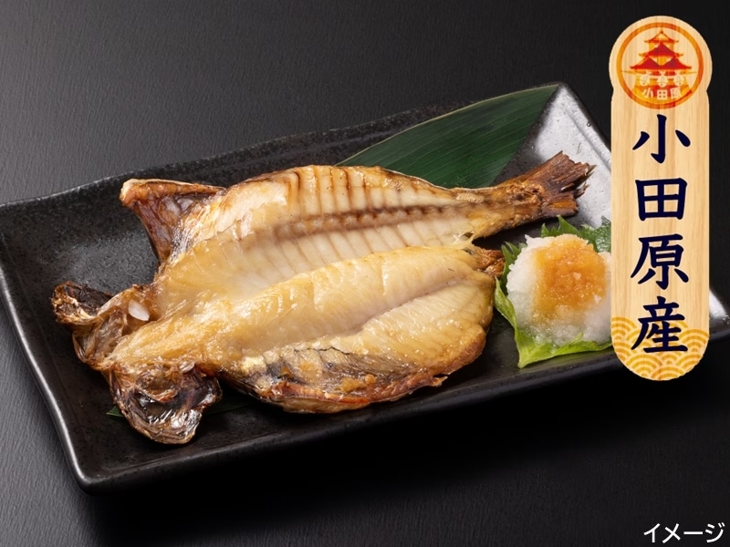 ������ȴ���Ǥ����ۡھ��ĸ���ʪ�����ù��ۤ����䳫�������ʣ����