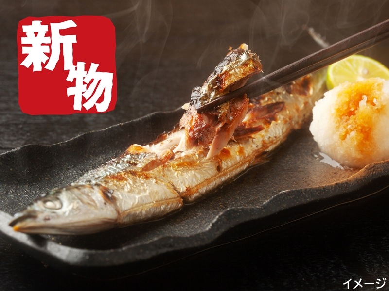 ��ʪ��������ޡʣ�����