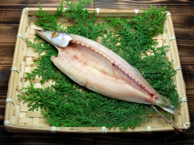 大特価 かます開き干し １枚 ひもの単品 かます 干物 ひもの通販 小田原ひもの老舗 山安オフィシャルオンラインショップ