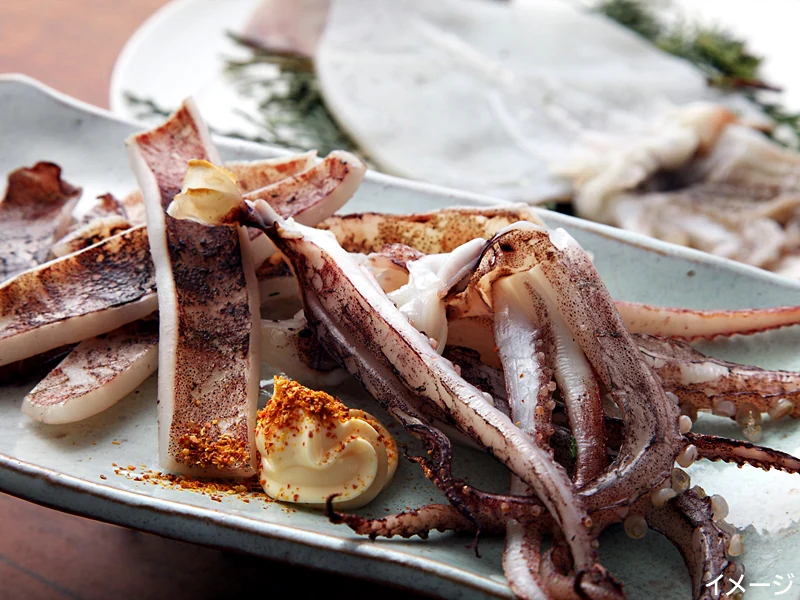 �������봳���ʣ����