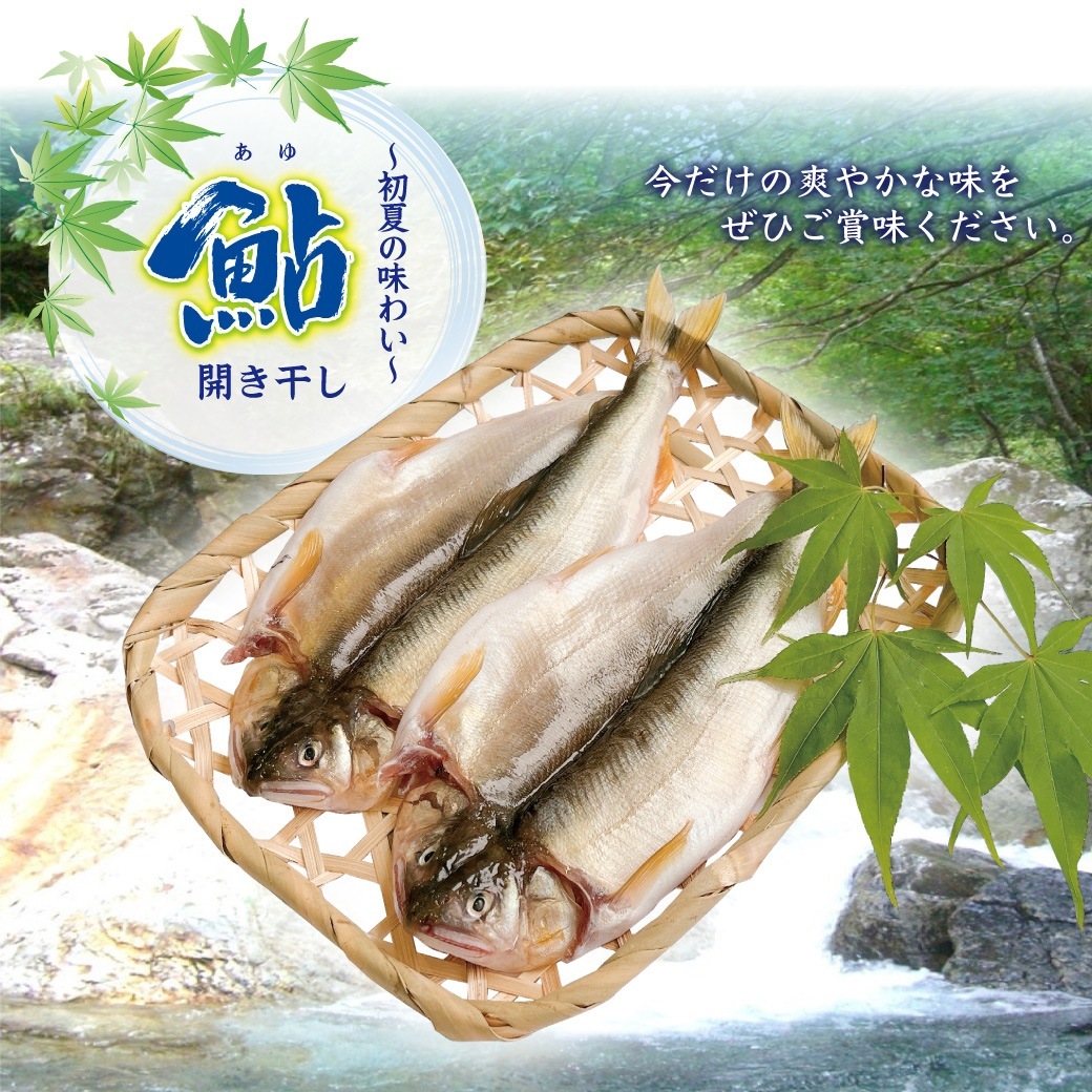 �ڥ��饷�Ǻܾ��ʡ������ֹ�6�ۡڴ��ָ���� ����Ƥ�̣�襤�� ���δ�ʪ�ʣ����