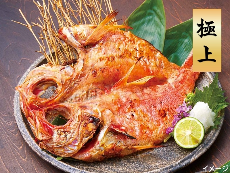 ڥ饷Ǻܾʡֹ11۹ ˾䳫ʣ