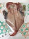 ڥ饷Ǻܾʡֹ11۹ ˾䳫ʣ