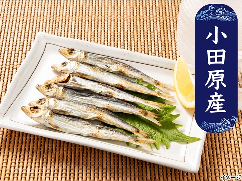 小田原地物 うるめいわし丸干し ひもの単品 いわし 干物 ひもの通販 小田原ひもの老舗 山安オフィシャルオンラインショップ 小田原地物 うるめいわし丸干し ひもの単品 いわし 干物 ひもの通販 小田原ひもの老舗 山安オフィシャルオンラインショップ