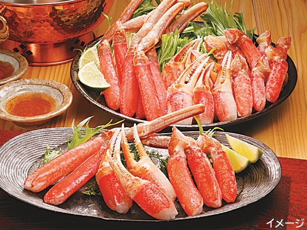 ڥ饷Ǻܾʡֹ14ۡߡۡߵ䤺襤֥Х饨ƥå