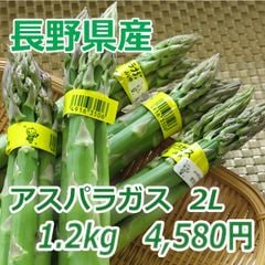 Ĺ��������꡼�󥢥��ѥ饬����2L������