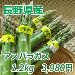 Ĺ��������꡼�󥢥��ѥ饬����L������