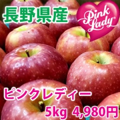 �ԥ󥯥�ǥ���5���(23�̡�28��)