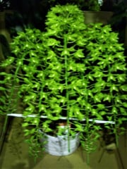 ڡʸбʡۥޥȥե 5Ω