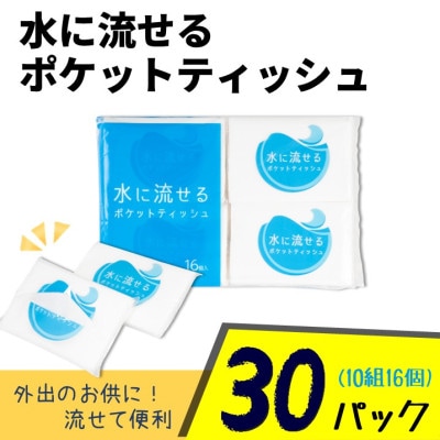 ڥݥåȥƥåASTήݥåȥƥ10W16Pʵѥåˡ30ѥå