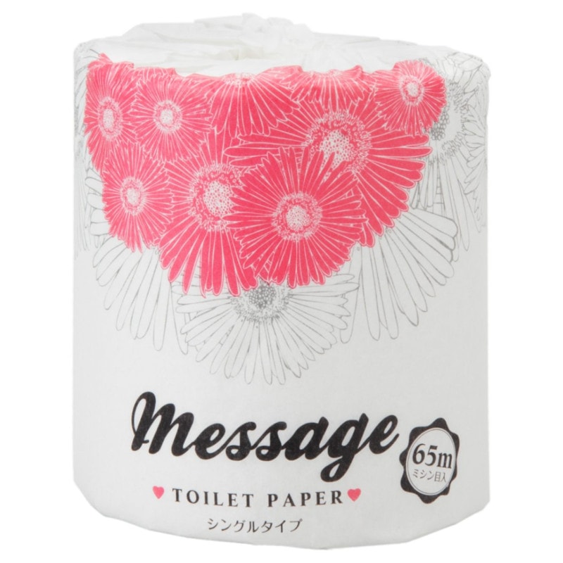 ڸȥåȥڡѡۥåե1륷󥰥65m1100