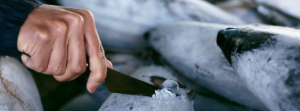 【お歳暮お年賀セール】バラエティセット（HﾊﾗｴﾃｨS）【送料込み】