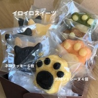 焼き菓子 10個セット イロイロスイーツ ネコクッキー 焼き菓子 肉球 マドレーヌ 猫好き 送料無料 マドレーヌ クッキー