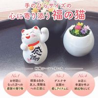 猫雑貨 置物 猫グッズ ハンドメイド 招き猫 開運 運勢上昇 [ひと言招き猫]可愛い 猫玄関飾り 猫人形 谷中堂 お返し