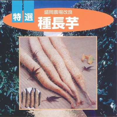 商品写真