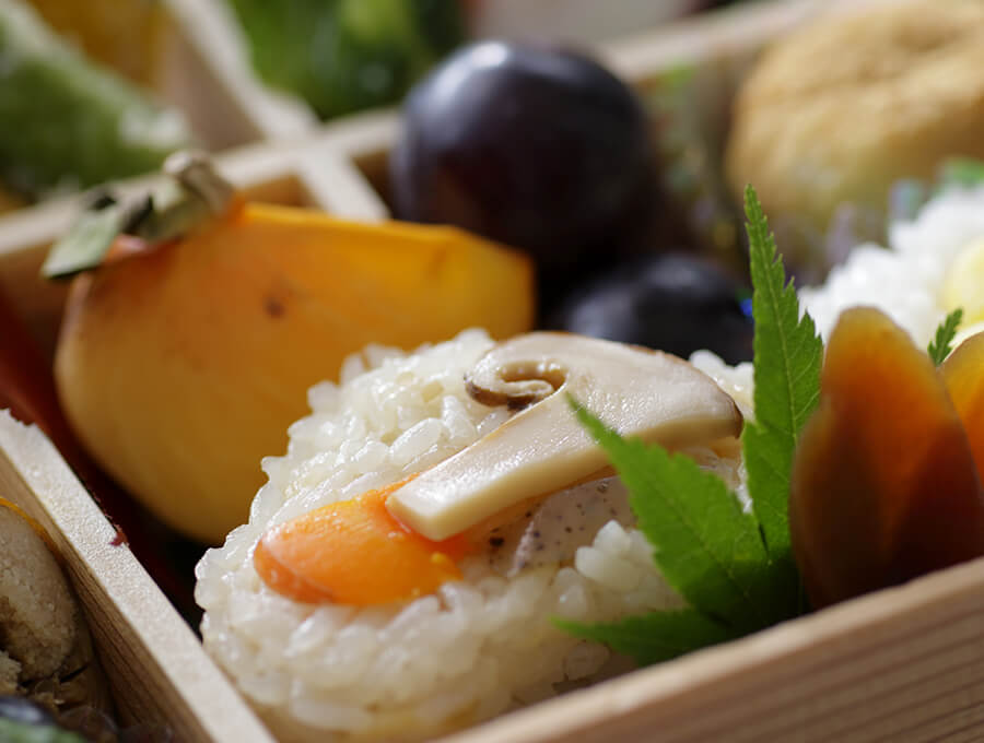 嵯峨野(お持ち帰り容器入り)