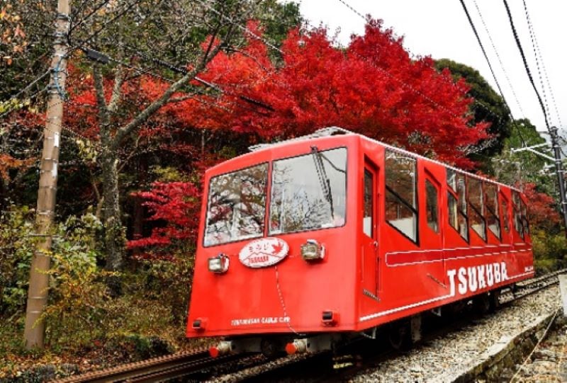 【数量限定、ケーブルカーの安全を支えています】　筑波観光鉄道ケーブルカー　　　誘導滑車（直線用）※送料含む