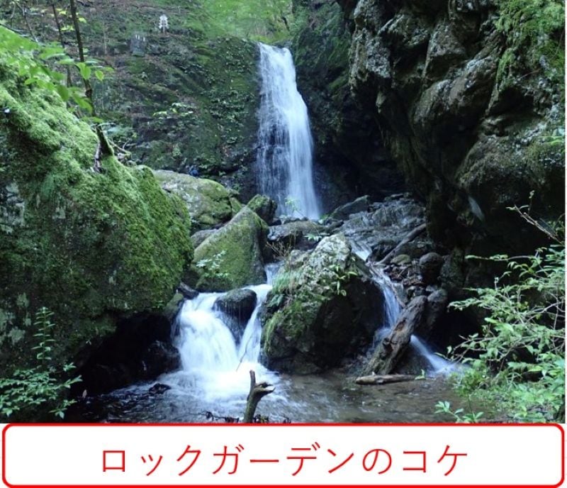 【１０／２２（水）・２４（金）開催！】　御岳登山鉄道　「御岳山コケ観賞ツアー（秋のロックガーデン編）」　★お一人から参加可能です★