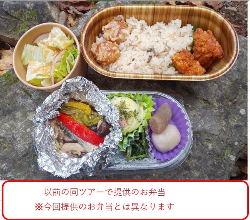 【１０／２２（水）・２４（金）開催！】　御岳登山鉄道　「御岳山コケ観賞ツアー（秋のロックガーデン編）」　★お一人から参加可能です★