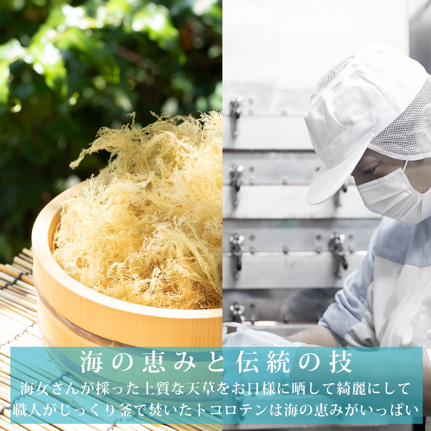 箱入りところてん30個入り/選べる4種のタレ付き | すべての商品