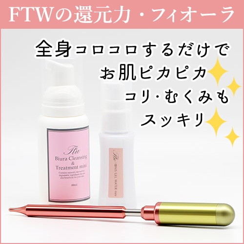 FTW�ե����������������顼���̾參�顼���ԥ󥯡�