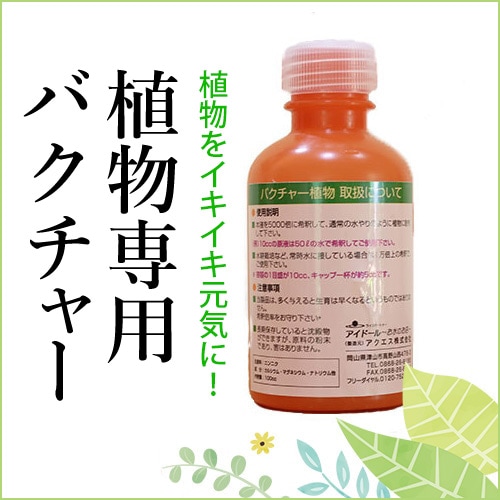 バクチャー植物（100%天然素材・無添加・植物用活性液）