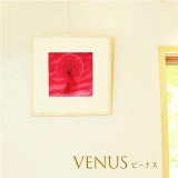 VENUS(ӡʥ)
