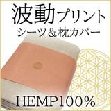 ��ư�ץ��ȡ��إ��100�󿲶�