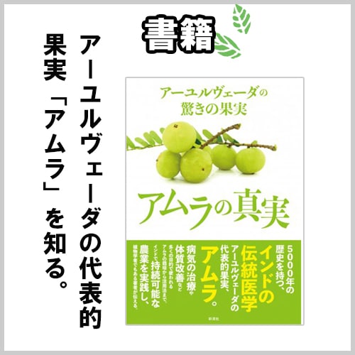 実践 アーユルヴェーダ 入門アーユルヴェーダ - 株式会社 平河出版社