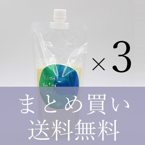 【お得なまとめ買い3個セット】ビダウォーターソープ（400ml詰替用）【送料無料】