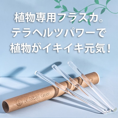 フラスカ】FLASKAグリーン（3本入り）
