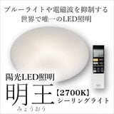 陽光LED照明「明王」キャビネットランプ【赤620(皮膚)】【赤670(眼と