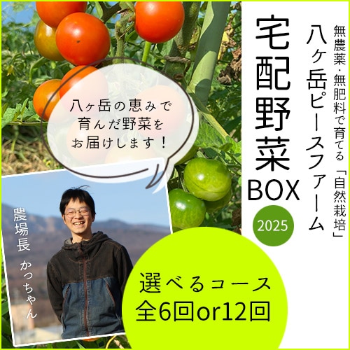 八ヶ岳ピースファーム】宅配野菜BOX 2025（全6回or全12回）【送料込み