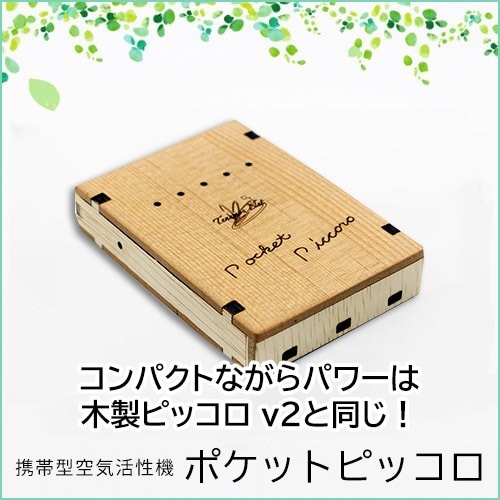 テネモス ピッコロ piccoro 携帯用空気活性器 piccorosteel-00.jpg