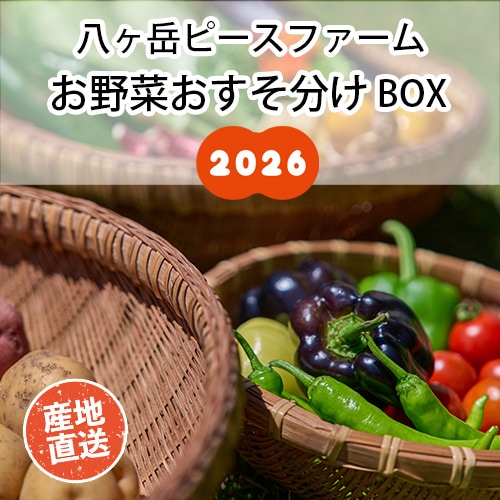 【八ヶ岳ピースファーム】お野菜おすそ分けBOX 2026【送料込み】