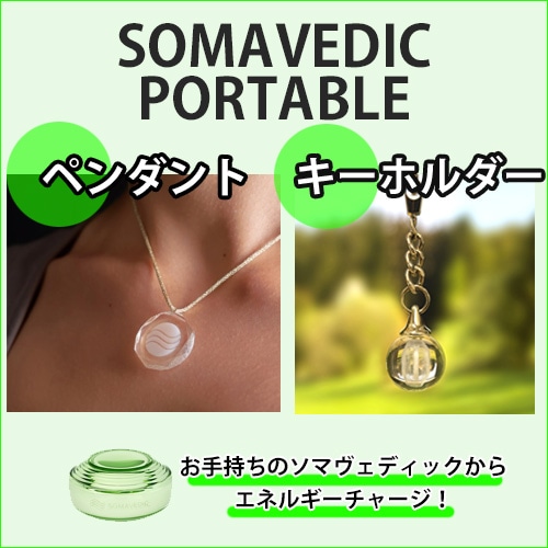 2個ソマヴェディック ポータブルキーホルダー　メディック ソマヴェディック「ポータブルキーホルダー」
